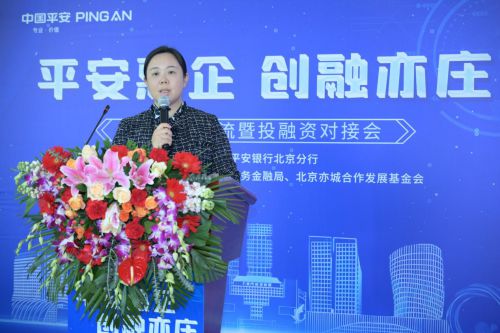 平安银行北京分行成功举办“平安惠企·创融亦庄”普惠金融交流暨投融资对接会(图3)