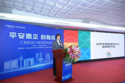 平安银行北京分行成功举办“平安惠企·创融亦庄”普惠金融交流暨投融资对接会(图5)