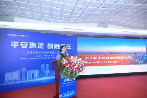 平安银行北京分行成功举办“平安惠企·创融亦庄”普惠金融交流暨投融资对接会(图6)
