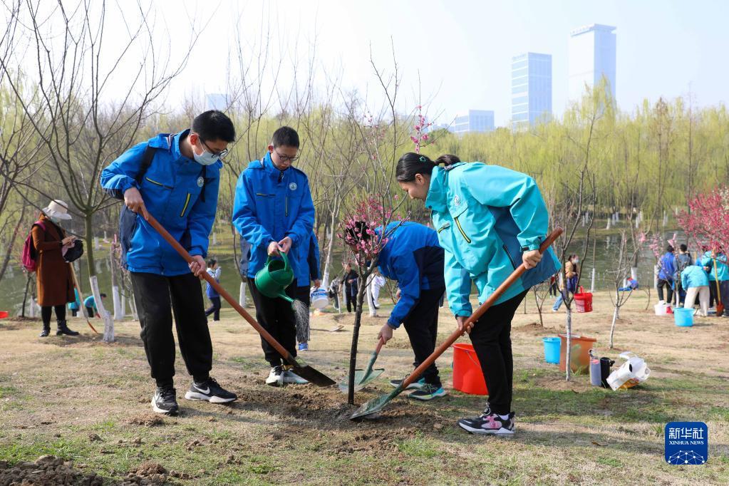 南宫NG28春日植树 绿化家园(图1)