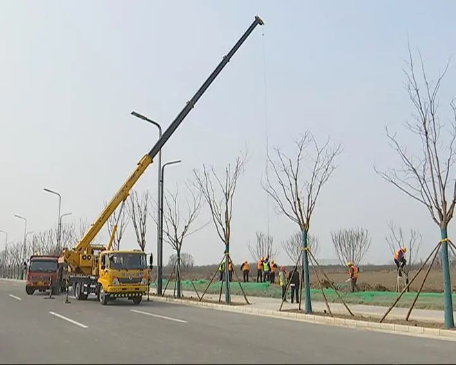 南宫NG·28(中国)官方网站东方红路西延伸段道路绿化工程正在进行→(图2)