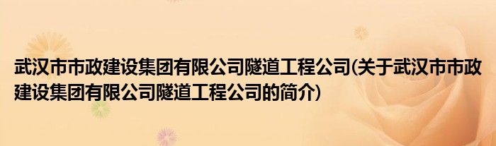 南宫NG28武汉市市政建设集团有限公司隧道工程公司(关于武汉市市政建设集团有限公(图1)