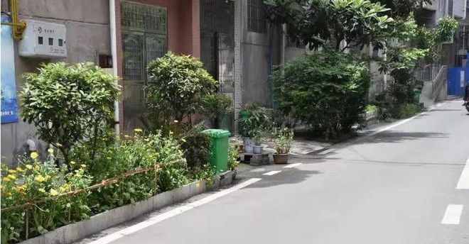 南宫NG·28(中国)官方网站报价4432万元！方元路道路及绿化提升工程中标候选(图1)